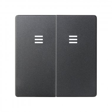 Фотография товара 'Simon 8202025-038 Клавиша двойная для вык-ля с голубой подсв., графит, S82'