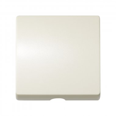 Фотография товара 'Simon 82051-31 Накладка для шнур.выкл-ля и вывода кабеля, сл.кость, S82'