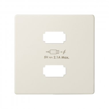 Фотография товара 'Simon 8221096-031 Накладка для заряд.устройства 2xUSB, сл.кость, S82'