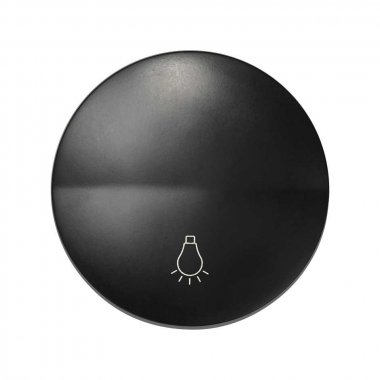 Фотография товара 'Simon 88018-38 Клавиша для выкл-ля с пикт."Свет", графит, S88'