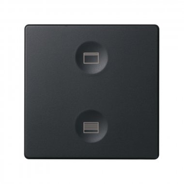 Фотография товара 'Simon 8000624-038 Сенсорная 2-кн панель, Т2 маркировка'