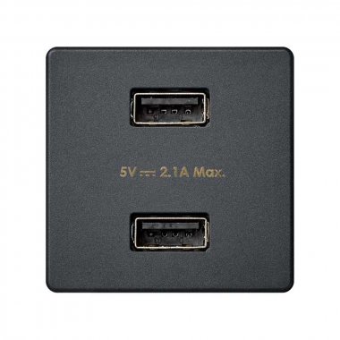 Фотография товара 'Simon 2701096-038 Зарядное устройство 2xUSB 10W, 230В'