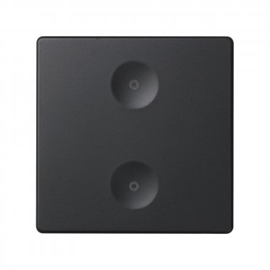 Фотография товара 'Simon 8000621-038 Сенсорная 2-кн панель, без маркировки'