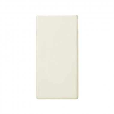 Фотография товара 'Simon 27800-31 Заглушка узкая'