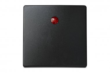 Фотография товара 'Simon 73011-62 Клавиша для кнопочного одноклавишного выключателя с подсветкой, S73 Loft'