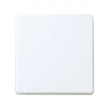 Фотография товара 'Simon 2720010-060 Клавиша для выключателя антибактериальная, белый, S27'