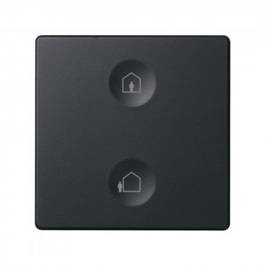 Фотография товара 'Simon 8000623-038 Сенсорная 2-кн панель, Т1 маркировка'