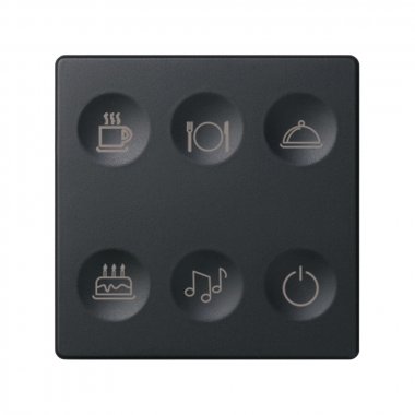 Фотография товара 'Simon 8000664-038 Сенсорная 6-кн панель, Т2 маркировка'