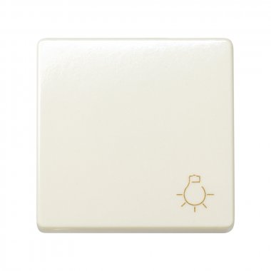 Фотография товара 'Simon 27151-62 Кнопочный выключатель с пикт."Свет", 10A 250В'