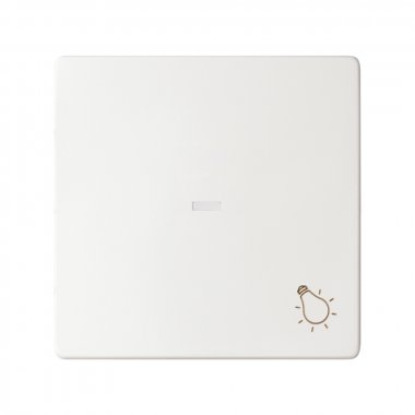 Фотография товара 'Simon 8200016-090 Клавиша для вык-ля с подсв. и пикт."Свет"'