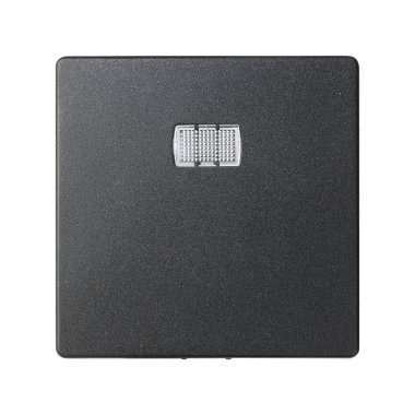 Фотография товара 'Simon 82013-38 Клавиша для вык-ля с подсв. и окном для пиктограмм, графит, S82'