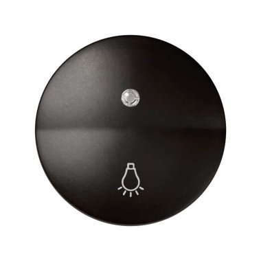 Фотография товара 'Simon 88016-32 Клавиша для выкл-ля с подсветкой и пикт."Свет", коричневый, S88'