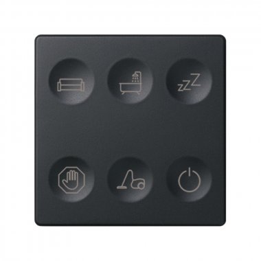 Фотография товара 'Simon 8000663-038 Сенсорная 6-кн панель, Т1 маркировка'