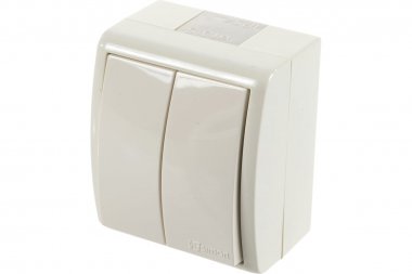 Фотография товара 'Simon 1594398-031 Двухклавишный выключатель IP54, 10AX 250В'