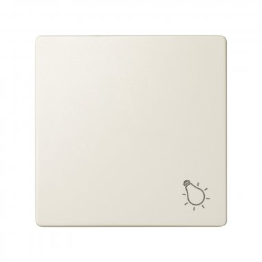 Фотография товара 'Simon 82018-31 Клавиша для вык-ля с пикт."Свет", сл.кость, S82'