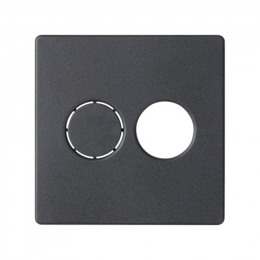Фотография товара 'Simon 82082-38 Накладка для стерео аудиорозетки, графит, S82'