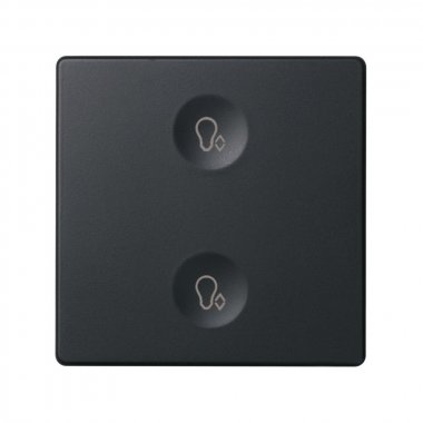 Фотография товара 'Simon 8000625-038 Сенсорная 2-кн панель, Т3 маркировка'