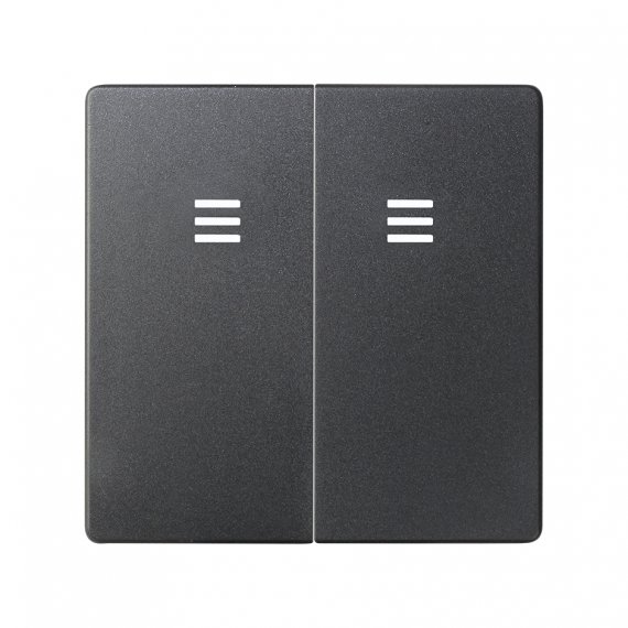 Фотография товара 'Simon 8202025-038 Клавиша двойная для вык-ля с голубой подсв., графит, S82'