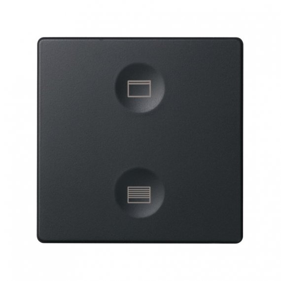 Фотография товара 'Simon 8000624-038 Сенсорная 2-кн панель, Т2 маркировка'