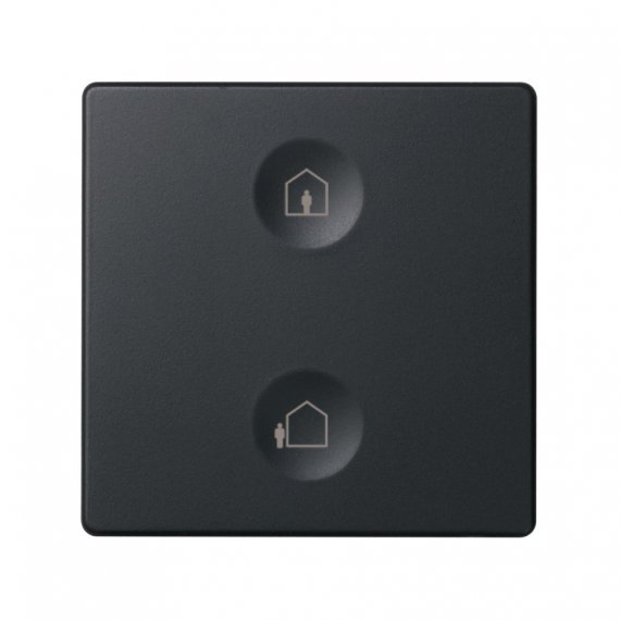 Фотография товара 'Simon 8000623-038 Сенсорная 2-кн панель, Т1 маркировка'