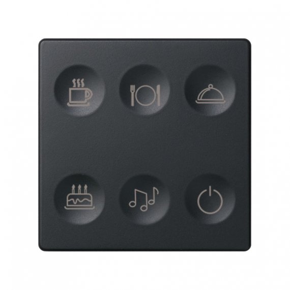 Фотография товара 'Simon 8000664-038 Сенсорная 6-кн панель, Т2 маркировка'