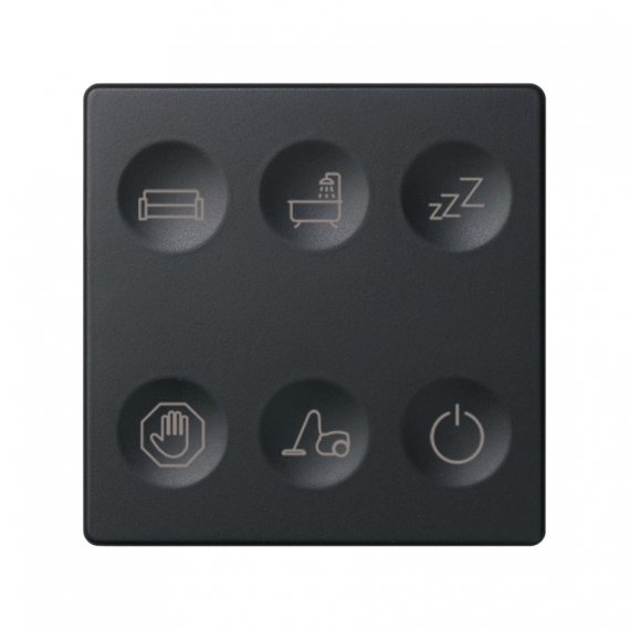 Фотография товара 'Simon 8000663-038 Сенсорная 6-кн панель, Т1 маркировка'