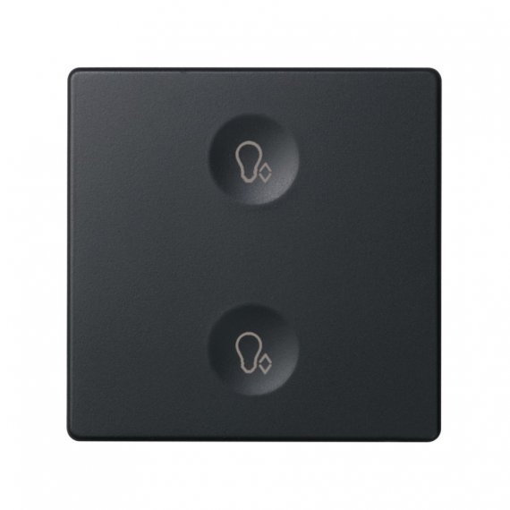 Фотография товара 'Simon 8000625-038 Сенсорная 2-кн панель, Т3 маркировка'