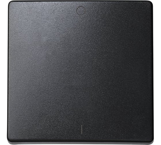 Фотография товара 'Simon 73023-62 Клавиша Simon для выключателя двухполюсного, S73 Loft'